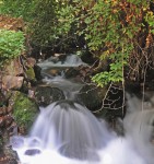 Paco Camacho y los molinos de agua