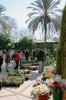 IMGEMA, Botanic Garden of Córdoba, Spain