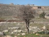 Technical visit to Southern Lebanon and Palestine 