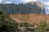 image of The Oman Botanic Garden, future challenges