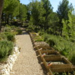 Biologic Station Torretes Font Roja, Botanic Garden, Alicante, Spain