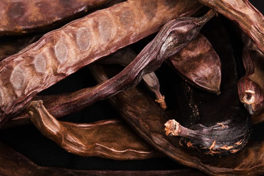 The carob bean, origin and properties MedOMed